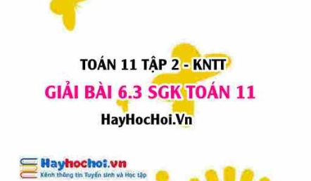 Bài 6.3 SGK Toán 11 Tập 2 Kết nối tri thức